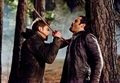 1x17 - Let the Right One In - HQ - the-vampire-diaries-tv-show photo