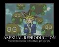 Asexual Reproduction - yugioh-the-abridged-series photo