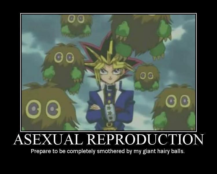 Asexual Reproduction Yugioh The Abridged Series Photo 11549139 Fanpop