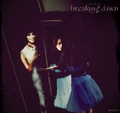 Breaking Dawn (Bella's 'new' Reflection) - twilight-series fan art