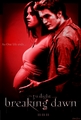 Breaking Dawn Poster (Bella Pregnant) - twilight-series fan art