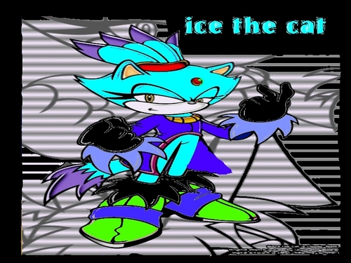  Ice the cat ganster