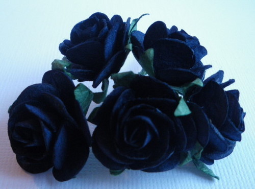 Midnight Blue mga rosas !