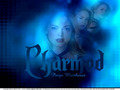 charmed - Paige/Rose wallpaper