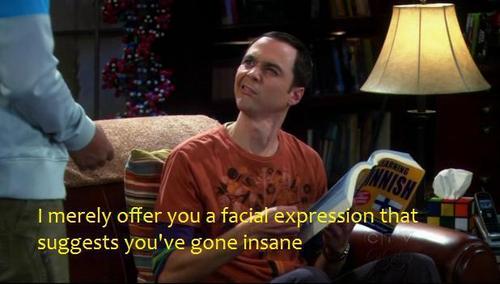  Sheldon Cooper- You're insane