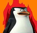 Skipper is feverish - penguins-of-madagascar fan art