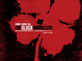 the-black-donnellys - The Black Donnellys wallpaper