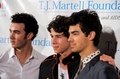  11th Annual T.J. Martell Foundation Family Day Benefit 4/18 - the-jonas-brothers photo