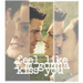 Bones and Booth - booth-and-bones icon