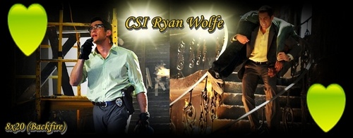 CSI Ryan Wolfe 8x20 (Backfire)