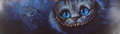 Cheshire cat banner - the-cheshire-cat fan art
