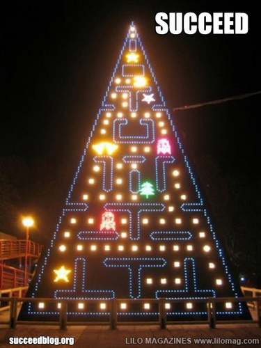  Krismas trees!