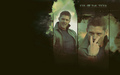 supernatural - Dean (: wallpaper
