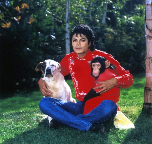  MJ with animaux