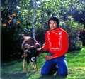 MJ with animals - michael-jackson photo