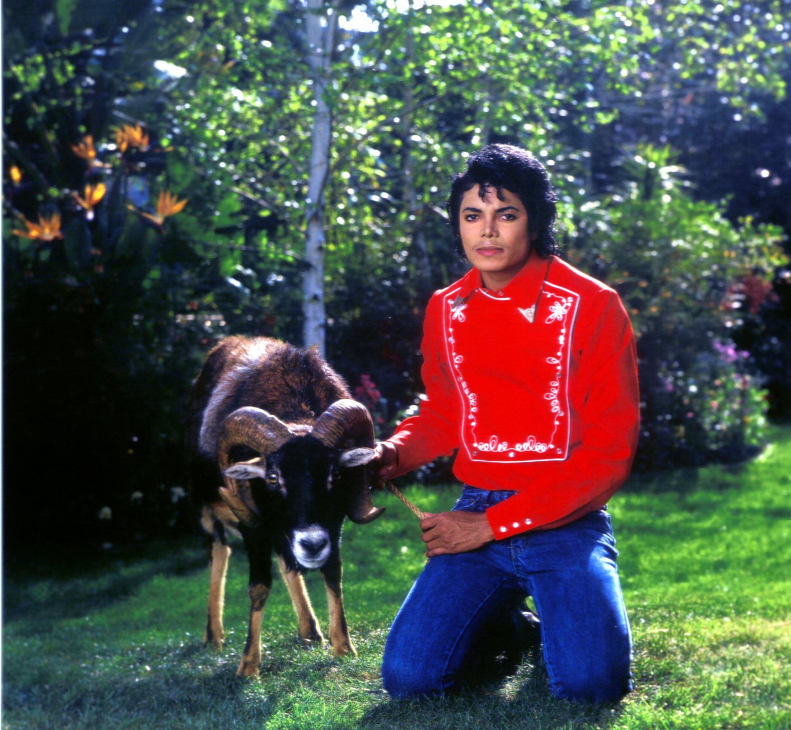 MJ with animals - Michael Jackson Photo (11640733) - Fanpop