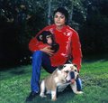 MJ with animals - michael-jackson photo