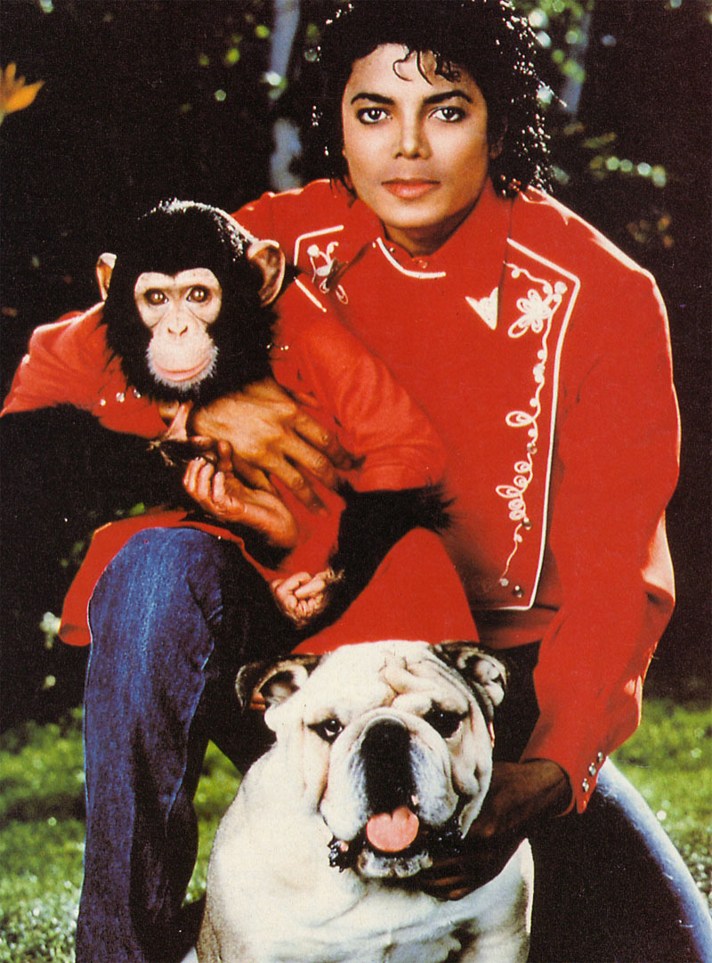 MJ with animals - Michael Jackson Photo (11640757) - Fanpop