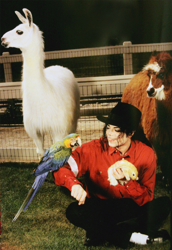  MJ with binatang