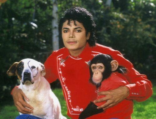 MJ with pets