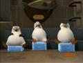 penguins-of-madagascar - Owwweeeeeee! screencap