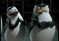 penguins-of-madagascar - Private excusing himself in front of Skippa screencap