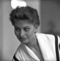 Sophia Loren - sophia-loren photo