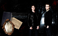 the-vampire-diaries-tv-show - TVD wallpaper