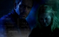 house-md - Wall 6x17  wallpaper