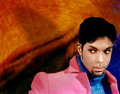 Prince images Sexy MF HD wallpaper and background photos 