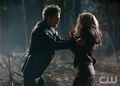 1x19 - Miss Mystic Falls - the-vampire-diaries-tv-show photo