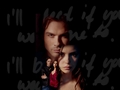 the-vampire-diaries-tv-show - Damon and Elena Wallpaper wallpaper