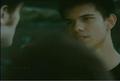 twilight-series - Eclipse Trailer From The Oprah Show Screencaps screencap