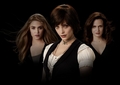 Eclipse - the-cullens photo