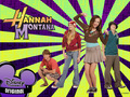 Hannah Montana Wallpaper - hannah-montana photo