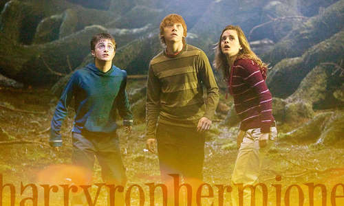  Harry,Ron and Hermione দেওয়ালপত্র