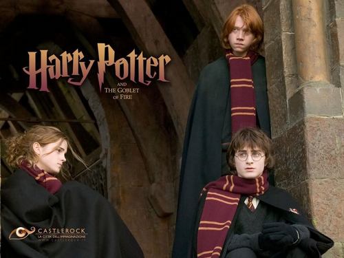  Harry,Ron and Hermione karatasi za kupamba ukuta