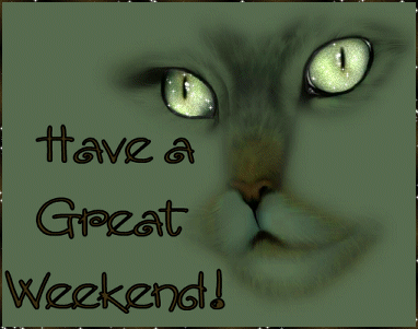  Have fun this weekend :)