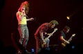 Paramore in Knoxville - hayley-williams photo