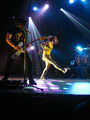 Paramore in Knoxville - paramore photo