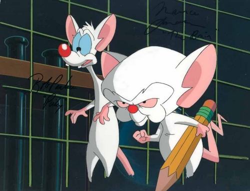  Pinky and The Brain!