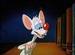 Pinky and the Brain - pinky-and-the-brain icon