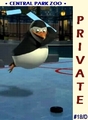 Private's Hockey Card - penguins-of-madagascar fan art
