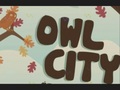 Random Owl City - owl-city photo