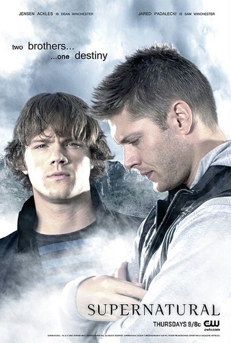  Sam and Dean SPN poster