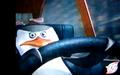 penguins-of-madagascar - Skipper behind the wheel. Wooooo! screencap