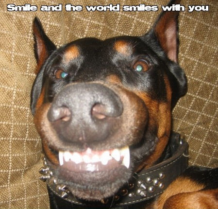  Smile :)