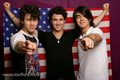 The Jonas Brothers  - the-jonas-brothers photo