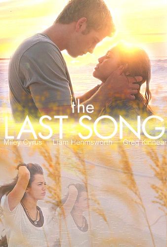  fanmade poster for the last song