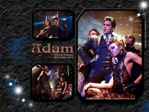  Adam Lambert Heaven,London hình nền